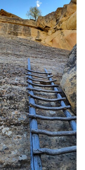 Picture 7 for Activity Durango: Mesa Verde Express Tour and Tickets to Cliff Palace