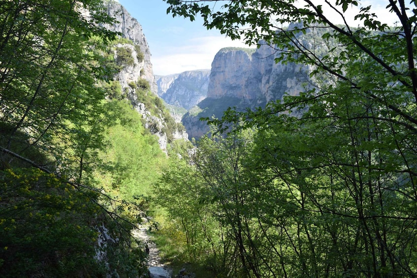 Picture 8 for Activity Epirus: Vikos Gorge & Voidomatis Springs Hike