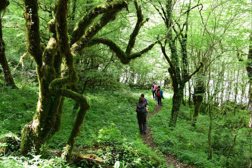 Picture 3 for Activity Zagori: Vikos Gorge full-day guided hike