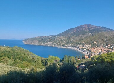 Cinque Terre panoramic hiking from Levanto to Monterosso