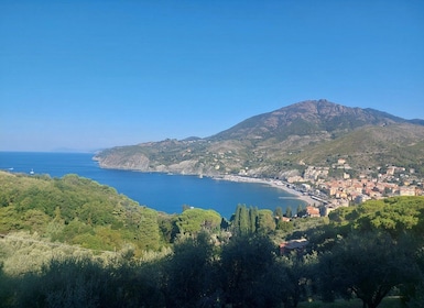 Cinque Terre panoramic hiking from Levanto to Monterosso