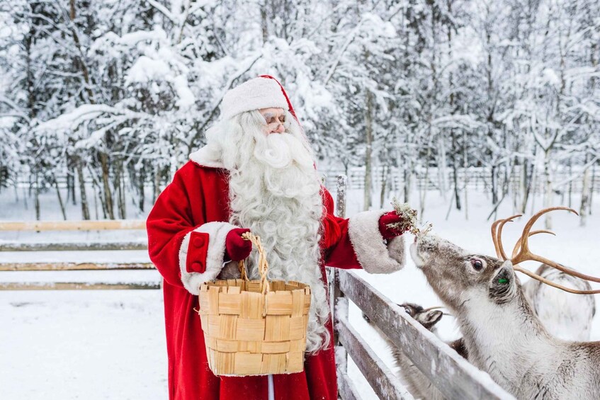 Picture 16 for Activity From Rovaniemi: Private Santa Claus Village Tour