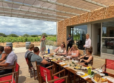 Palma de Mallorca: Son Juliana Wine Experience and Tasting