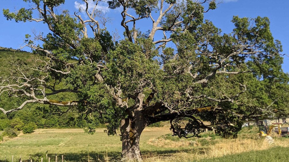 Picture 7 for Activity Norcia: Full-Day Hiking Tour with Meat and Cheese Tasting