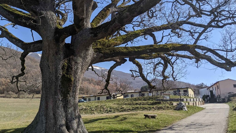 Picture 6 for Activity Norcia: Full-Day Hiking Tour with Meat and Cheese Tasting