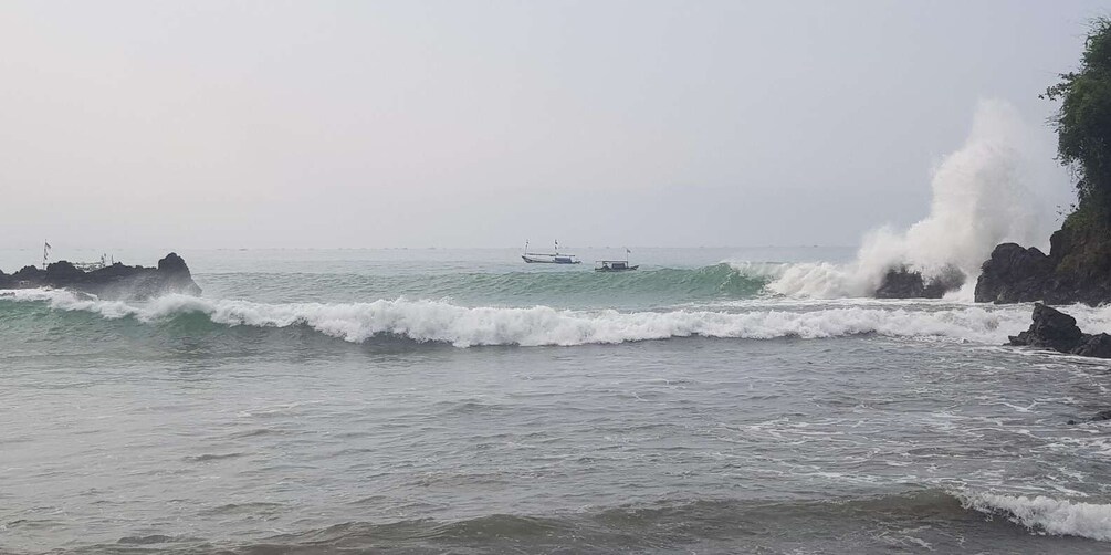 Picture 8 for Activity Surf Lesson Cimaja West Java