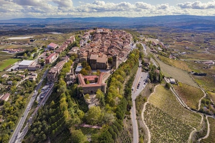 From Bilbao: Rioja Wine Region with Winery & Vitoria-Gasteiz