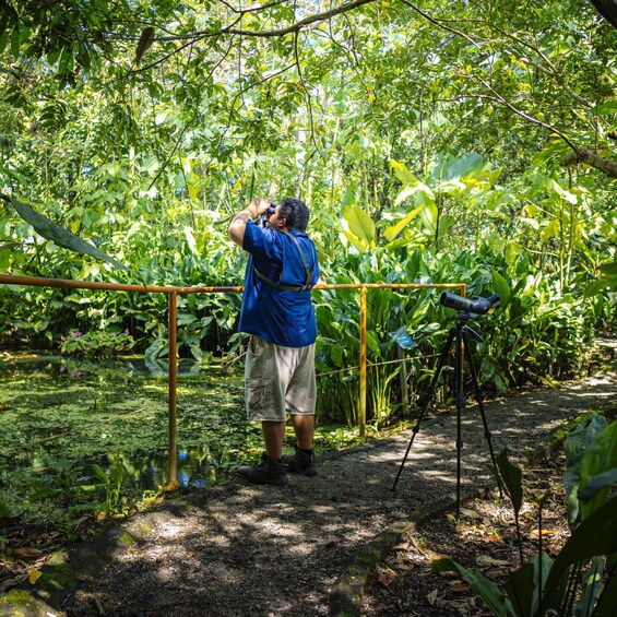 Picture 10 for Activity Bird watching Tour in La Fortuna