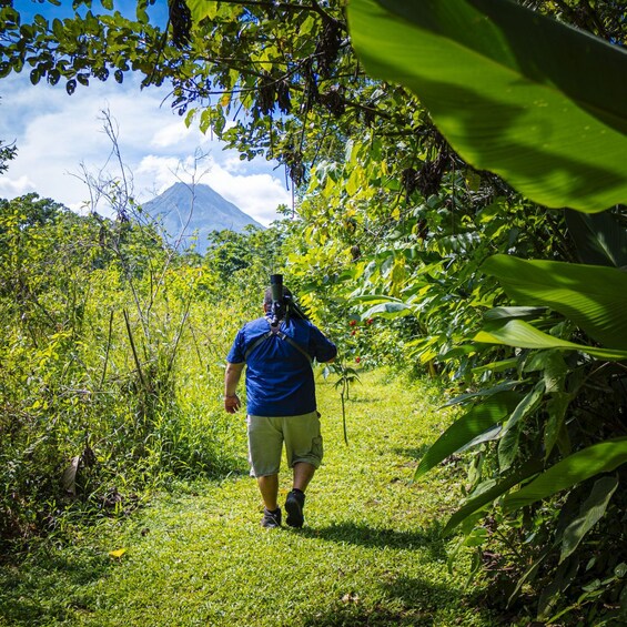 Picture 6 for Activity Bird watching Tour in La Fortuna