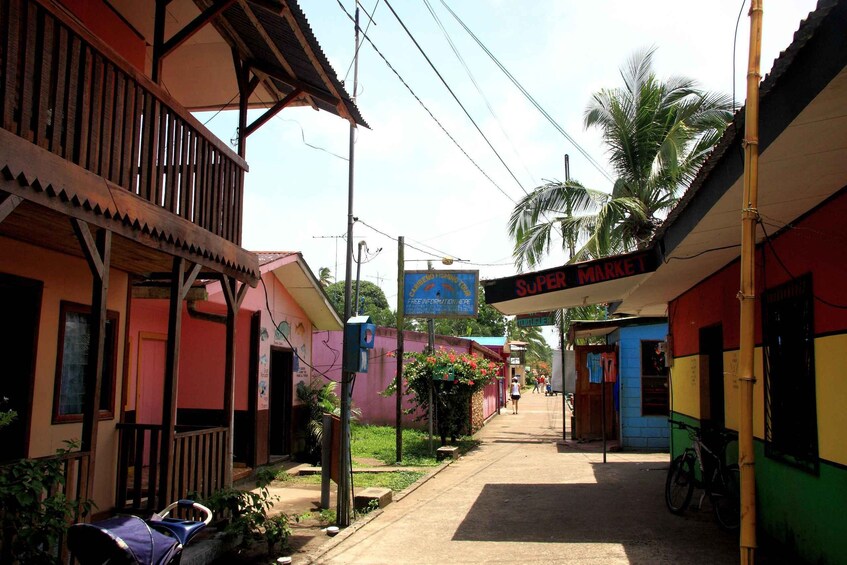 Picture 11 for Activity Tortuguero: Original Kayaking & Canoeing Tour in Tortuguero