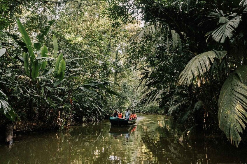 Picture 39 for Activity Tortuguero: Original Kayaking & Canoeing Tour in Tortuguero