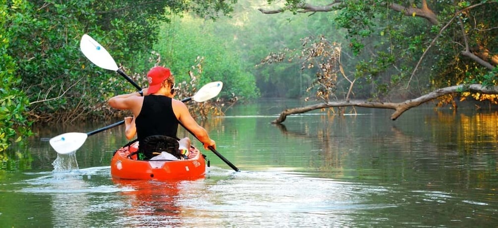 Picture 5 for Activity Tortuguero: Original Kayaking & Canoeing Tour in Tortuguero