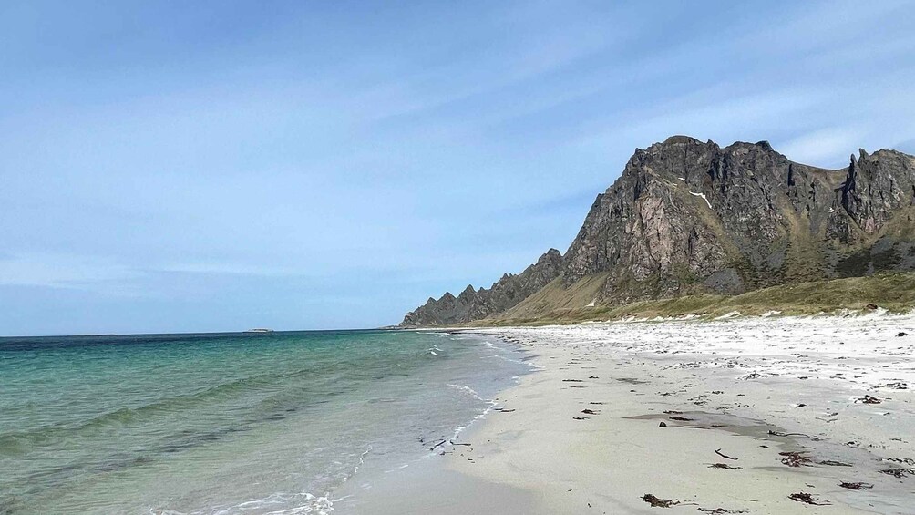 Picture 9 for Activity From Svolvær: Whale Watching Day Trip to Andenes