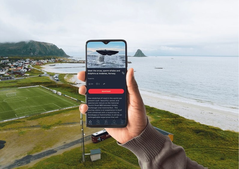 Picture 3 for Activity From Svolvær: Whale Watching Day Trip to Andenes