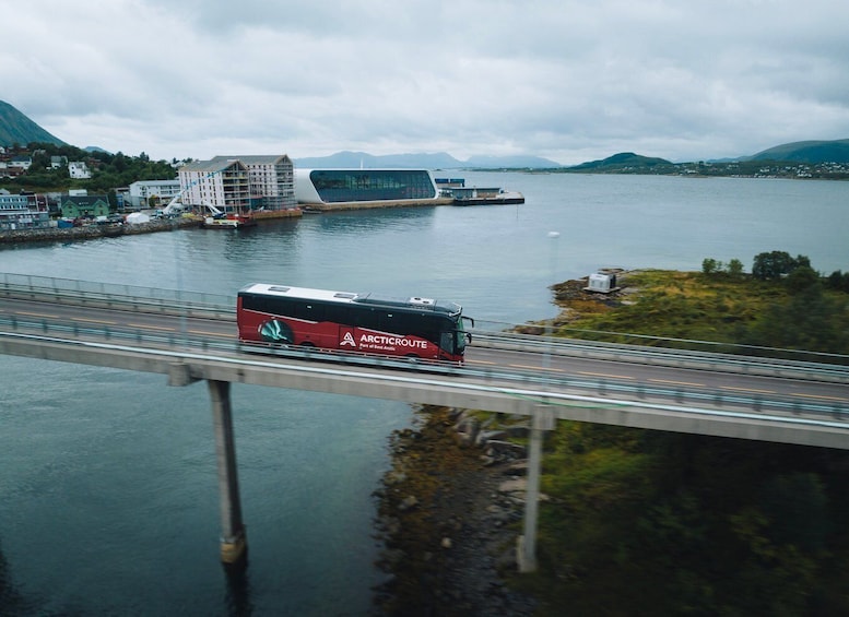 Picture 2 for Activity From Svolvær: Whale Watching Day Trip to Andenes