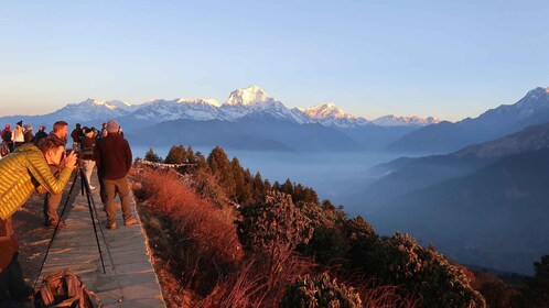 4 Day Poon Hill Trek from Pokhara