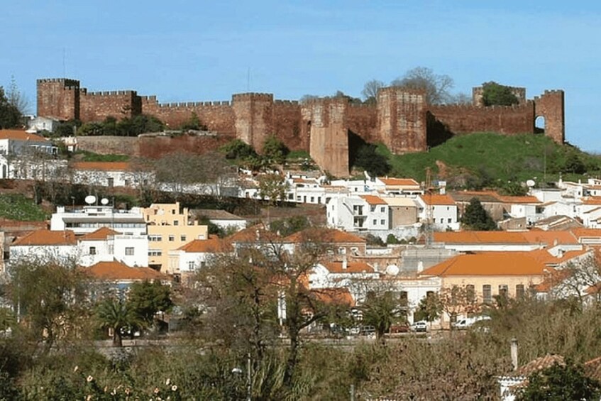 Picture 11 for Activity From Albufeira: Historical Algarve Region Tour