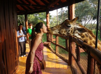 Nairobi: Giraffe Centre, Elephant Orphanage and Karen Blixen