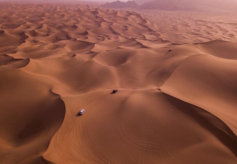 Picture 8 for Activity Doha Desert Safari, Dune Bashing, Sand Boarding, Inland sea