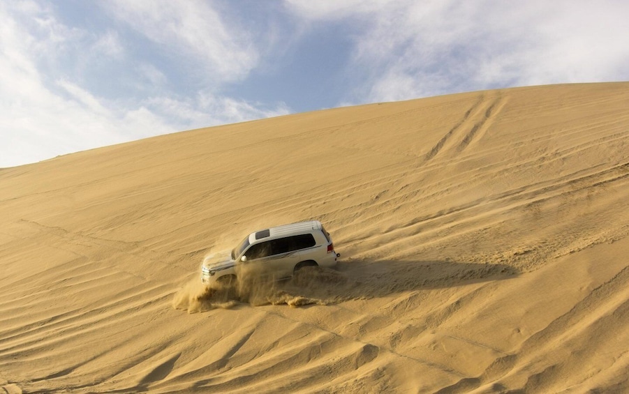 Picture 5 for Activity Doha Desert Safari, Dune Bashing, Sand Boarding, Inland sea
