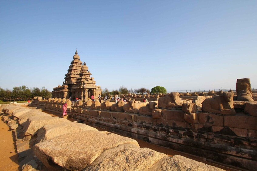 Picture 1 for Activity Chennai: Mahabalipuram, Kanchipuram, Temples, and Caves Tour