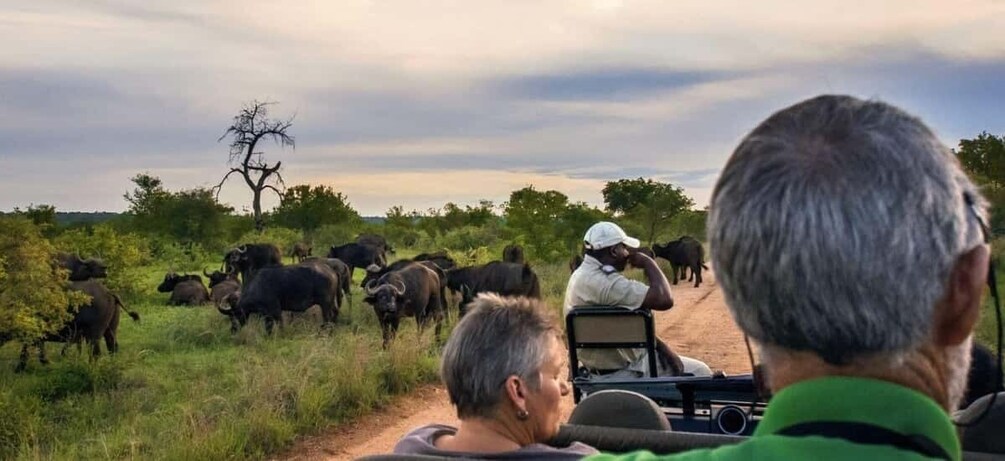 Picture 4 for Activity Hluhluwe & Isimangaliso Wetlands Park 2 Day Tour from Durban