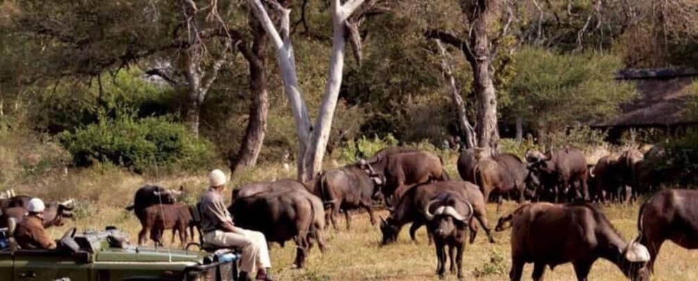 Hluhluwe & Isimangaliso Wetlands Park 2 Day Tour from Durban