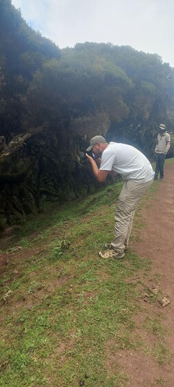 Picture 1 for Activity Bale Mountains Trekking and Wildlife Spotting 6 Days Tours