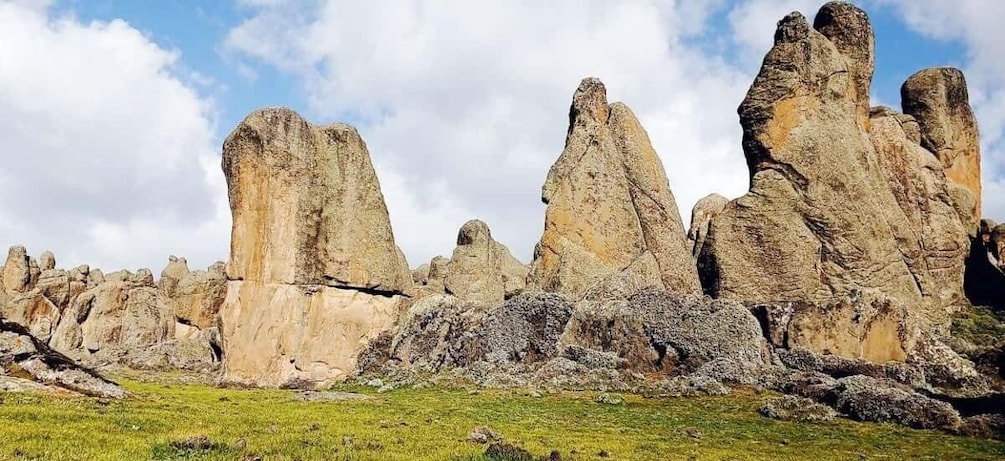 Picture 10 for Activity Bale Mountains Trekking and Wildlife Spotting 6 Days Tours