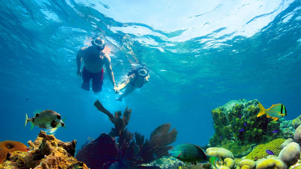 Couple snorkeling off the Florida Keys