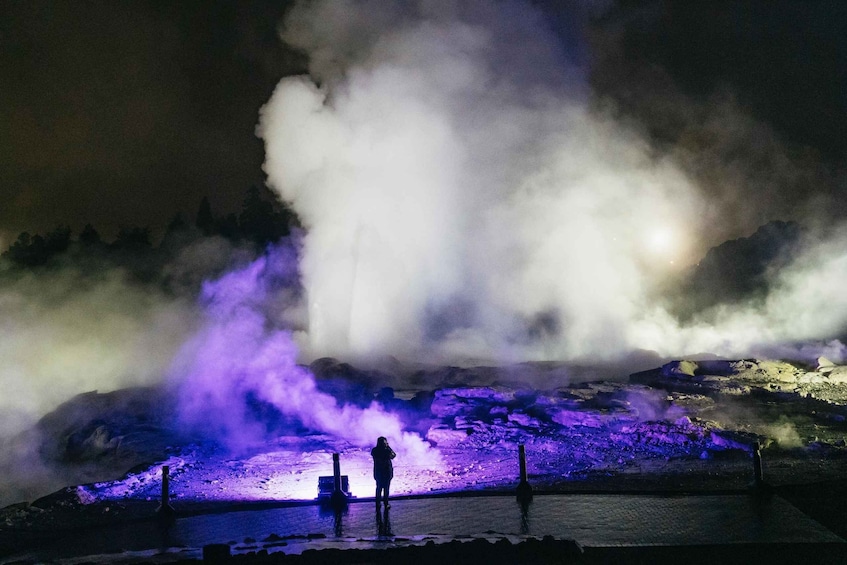 Picture 13 for Activity Rotorua: Te Puia Geyser Geothermal Park Guided Tour at Night