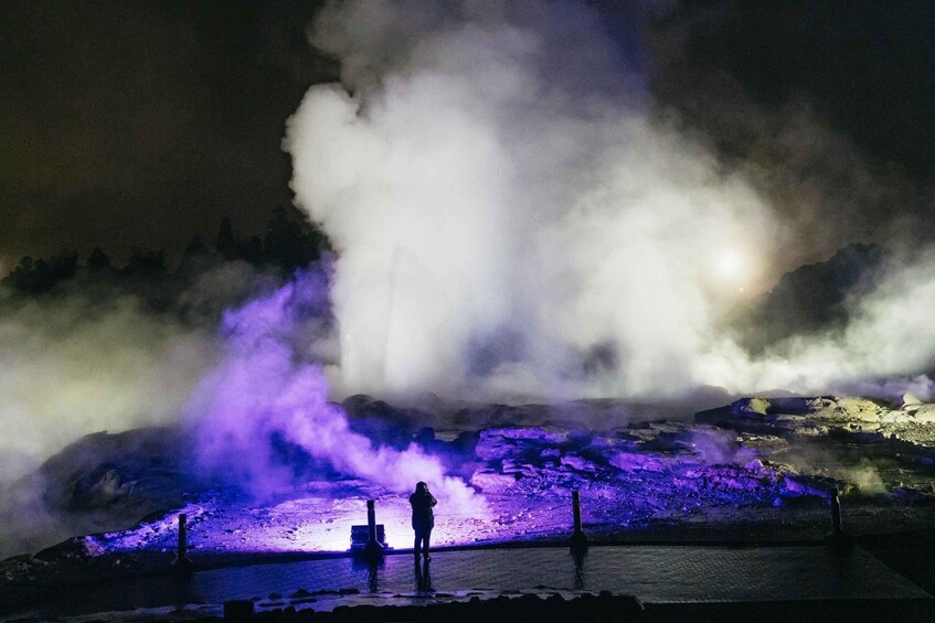 Picture 13 for Activity Rotorua: Te Puia Geyser Night Walking Tour