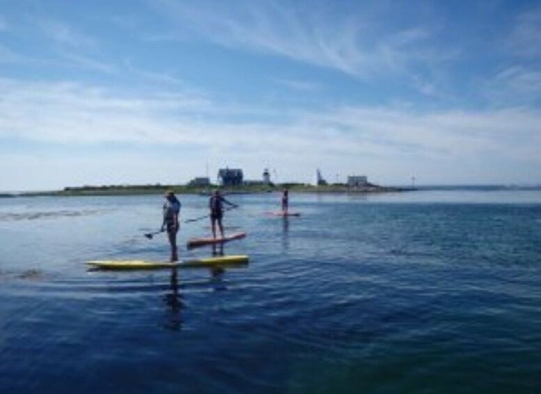 Picture 5 for Activity Fort Myers: Guided Kayak or SUP Tour in Pelican Bay