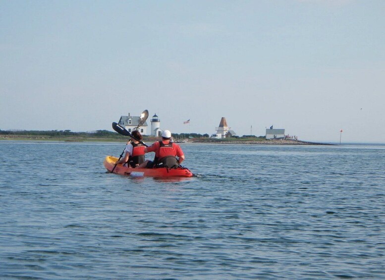 Picture 3 for Activity Fort Myers: Guided Kayak or SUP Tour in Pelican Bay