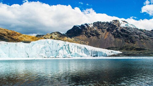 Huaraz: Nevado Pastoruri + Puyas Raymondi Forest