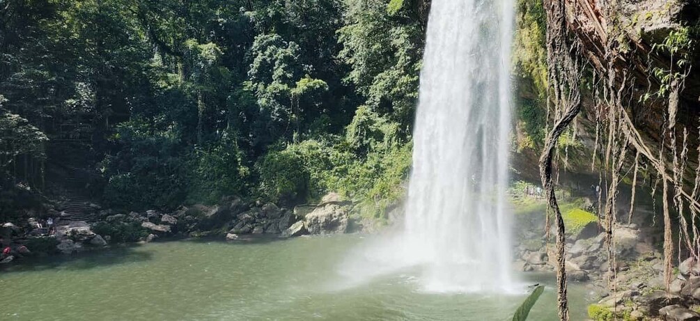 Picture 1 for Activity From Palenque: Misol-Ha and Agua Azul Waterfalls Tour