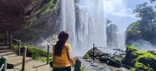 Desde Palenque: Excursión de un día a Misol-Ha y las Cascadas de Agua Azul