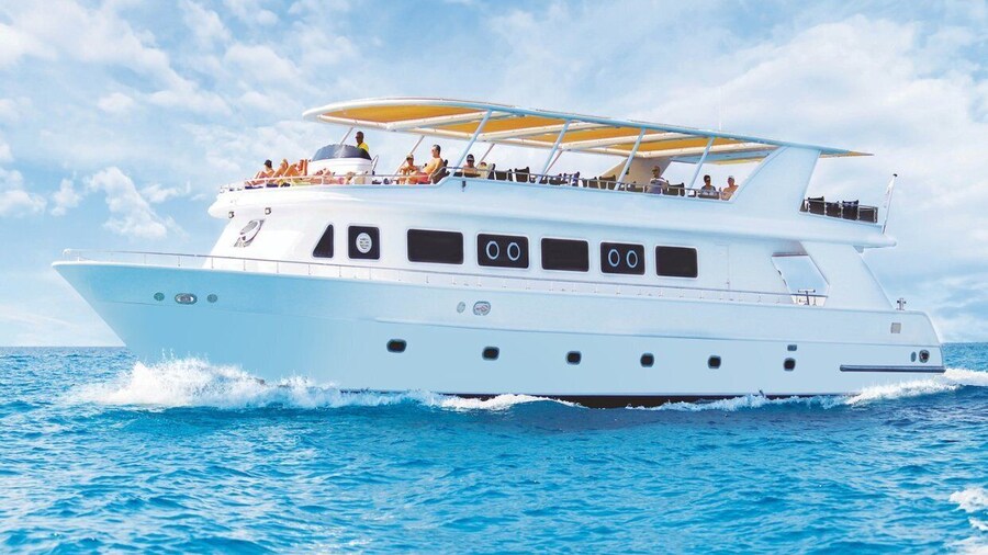 Cairo: Luxury Snorkeling Cruise & lunch with optional pickup
