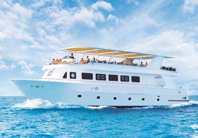 Cairo: Luxury Snorkeling Cruise & lunch with optional pickup