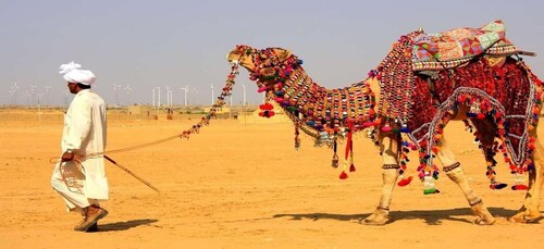 Jaisalmer: Jalmermer: Yksityinen kokopäiväretki kaupungin nähtävyyksiin