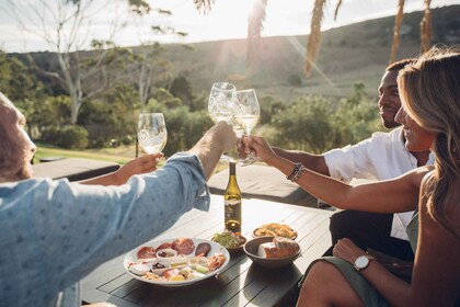 Waiheke Island: Wine Tour + Lunch at Award Winning Venue