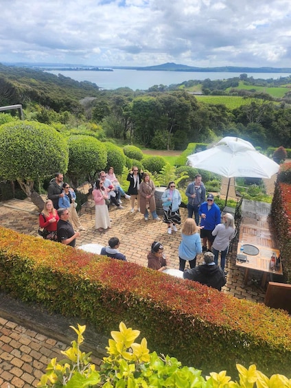 Picture 10 for Activity Waiheke Island: Scenic Wine Tour with Lunch