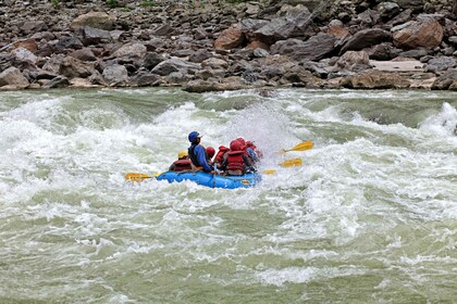 Pengalaman Petualangan A di Kitulgala