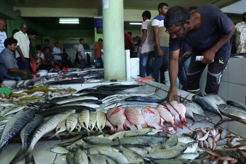 Maldives : Private Male’ City walking tour with options