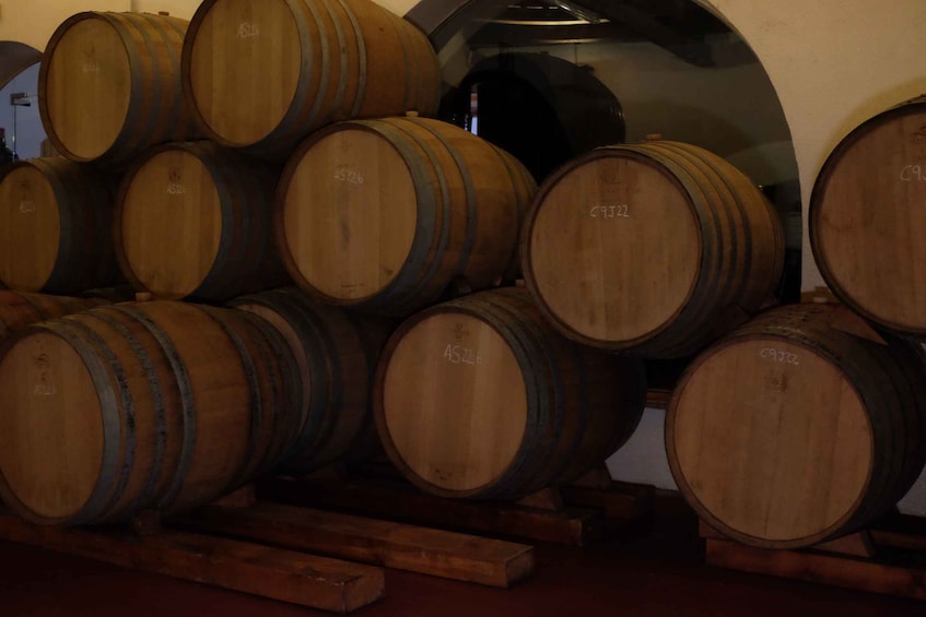 Picture 4 for Activity From Barcelona: Private Montserrat and Boutique Winery Tour