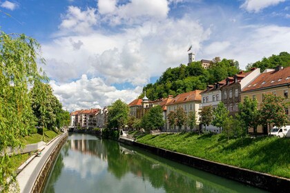 Best of Ljubljana: Private tour with Ljubljana born guide