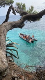 Cala Ratjada: Private Boat Charter