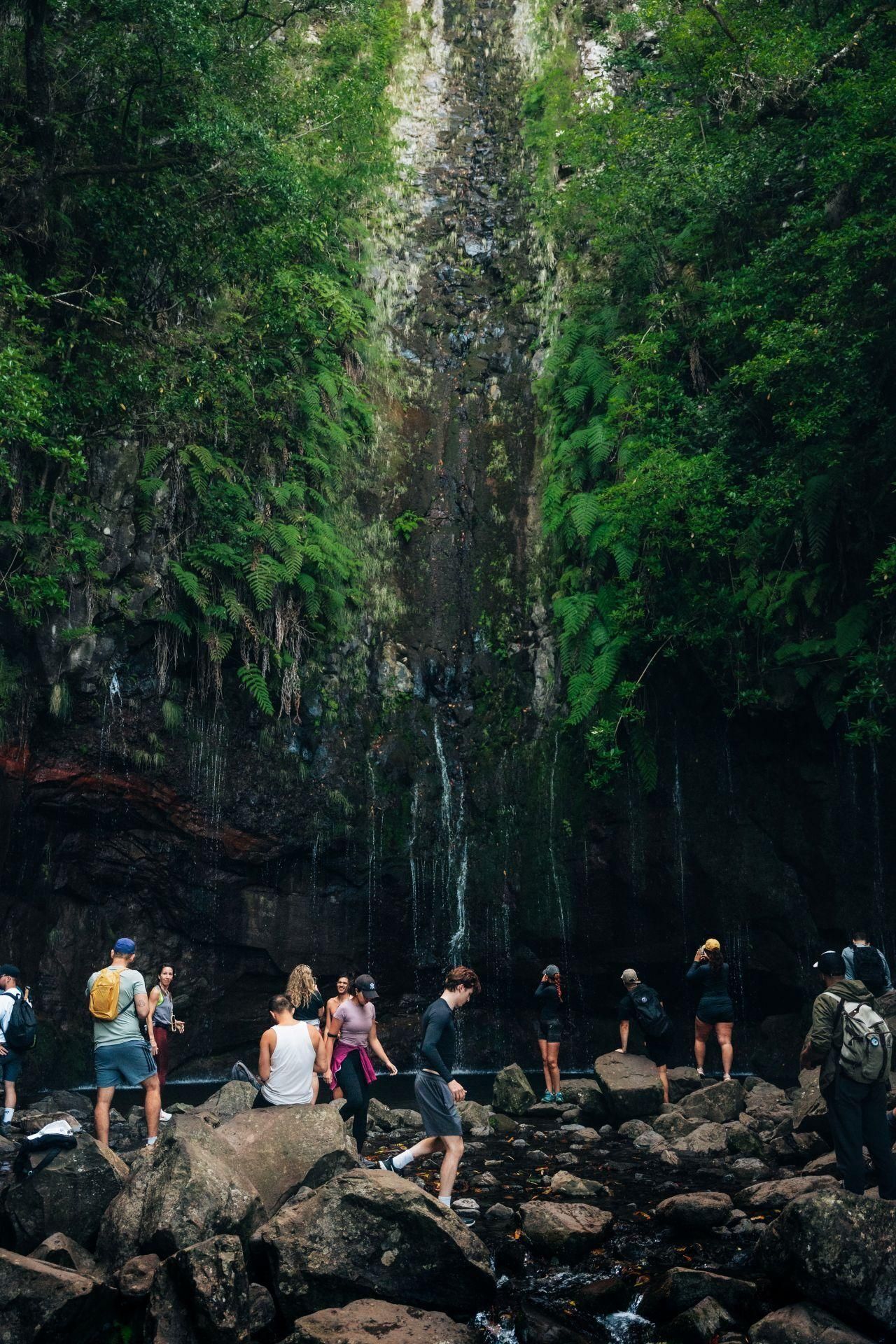 Rabaçal: 25 Fontes & Risco Levada Hiking Transfer