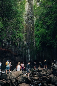 Rabaçal : 25 Fontes et Risco Levada Transfer Randonnée autoguidée