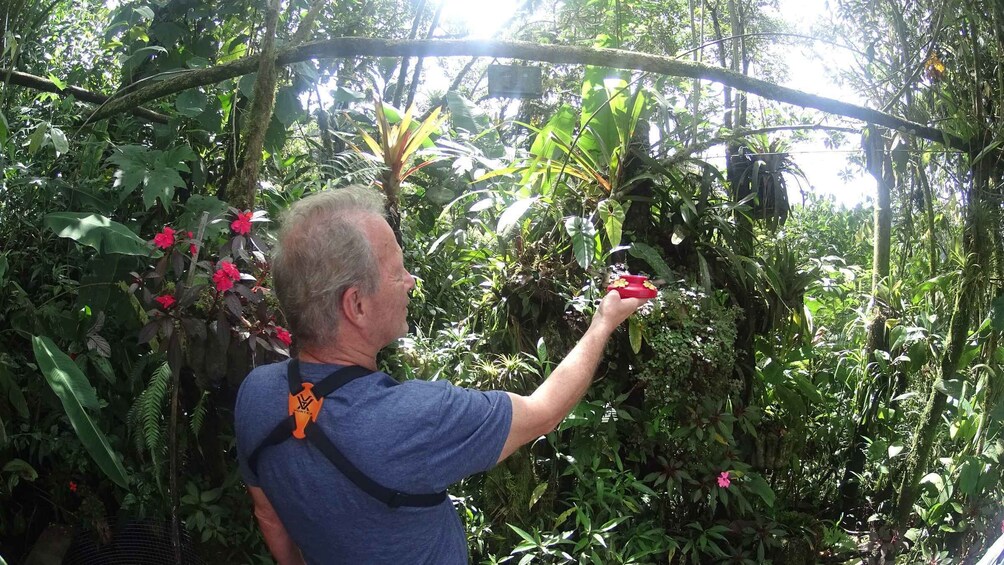 Picture 16 for Activity From Quito: Mindo Trekking & Wildlife Guided Day Trip